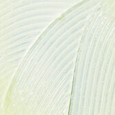 Lip Balm 1 Petrolatum Skin Protectant Wells Image 4