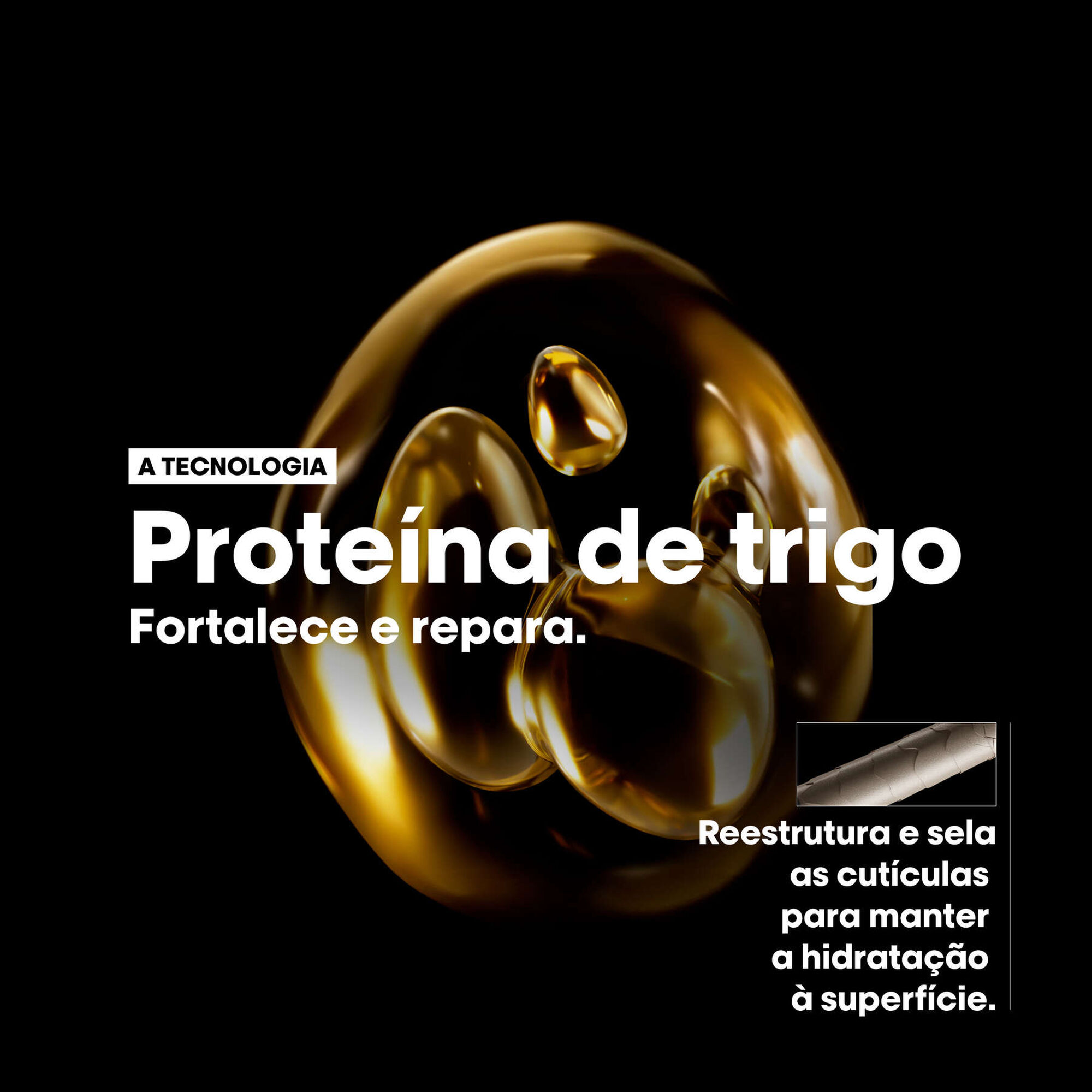 Coffret Absolut Repair Trio