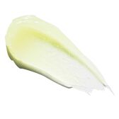 Lip Balm 1 Petrolatum Skin Protectant Wells Image 2