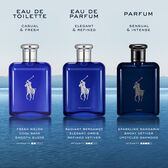 Ralph Lauren Polo Blue EDT 125 ml Wells Image 5