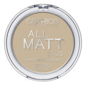 Pó Controlo de Brilho All Matt Plus Warm Beige 10 g Wells