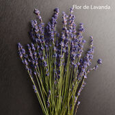 Calvin Klein Eternity Woman Aromatic Essence 50 ml Wells Image 6