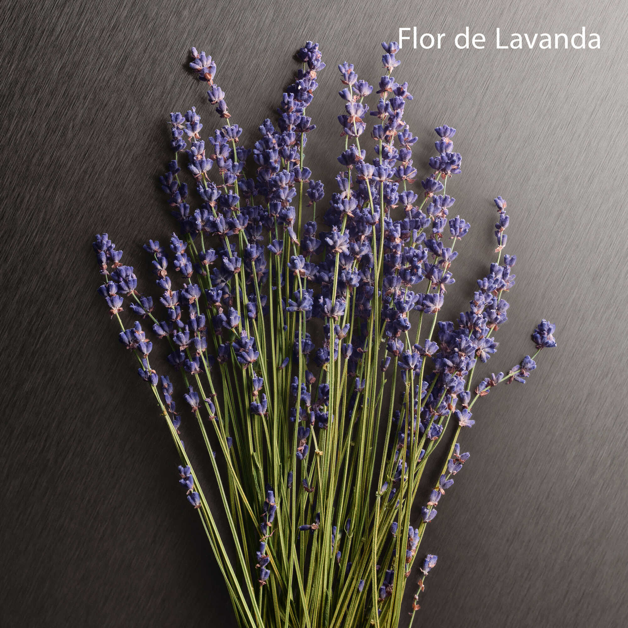 Calvin Klein Eternity Woman Aromatic Essence