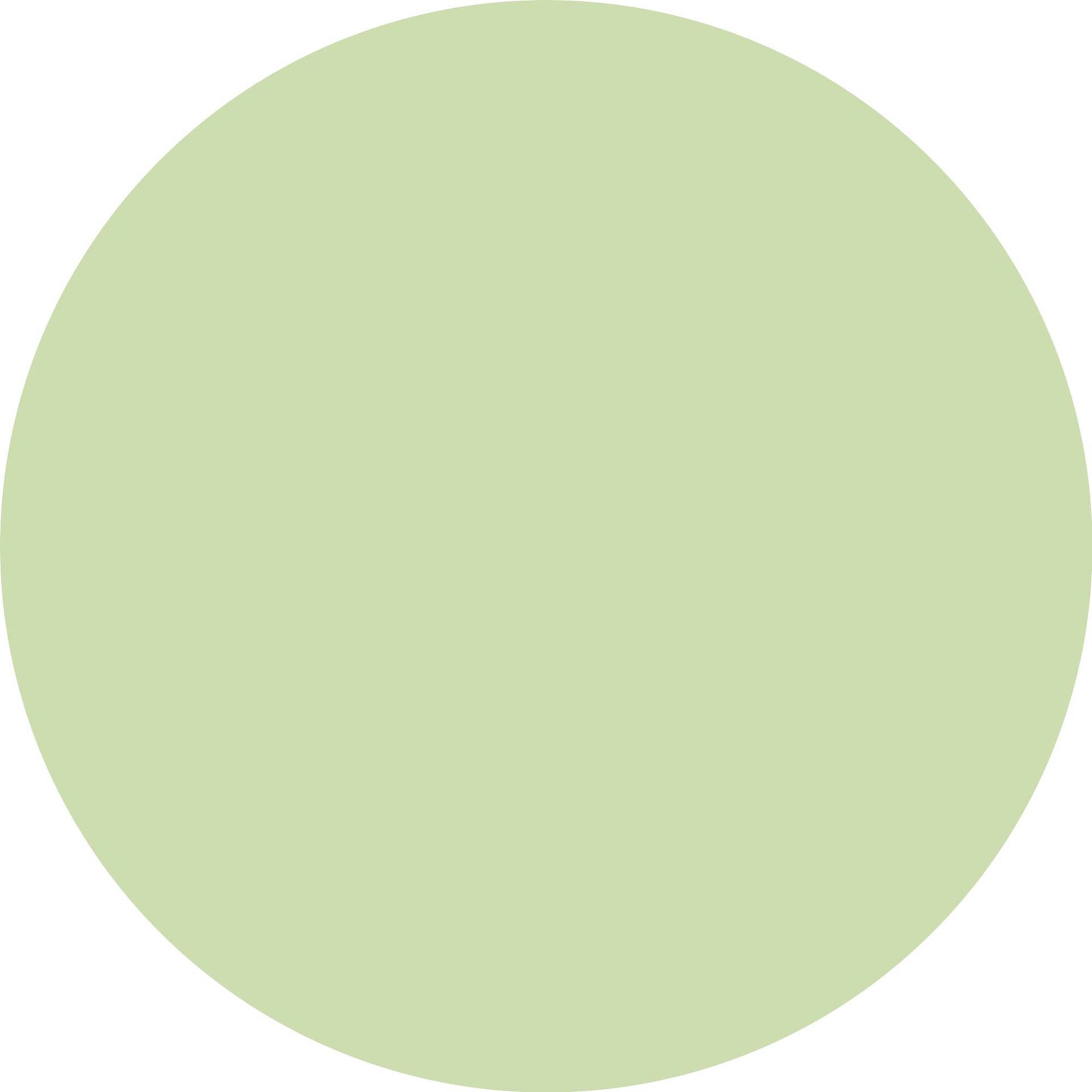 Jelly Grip Eyeshadow Primer