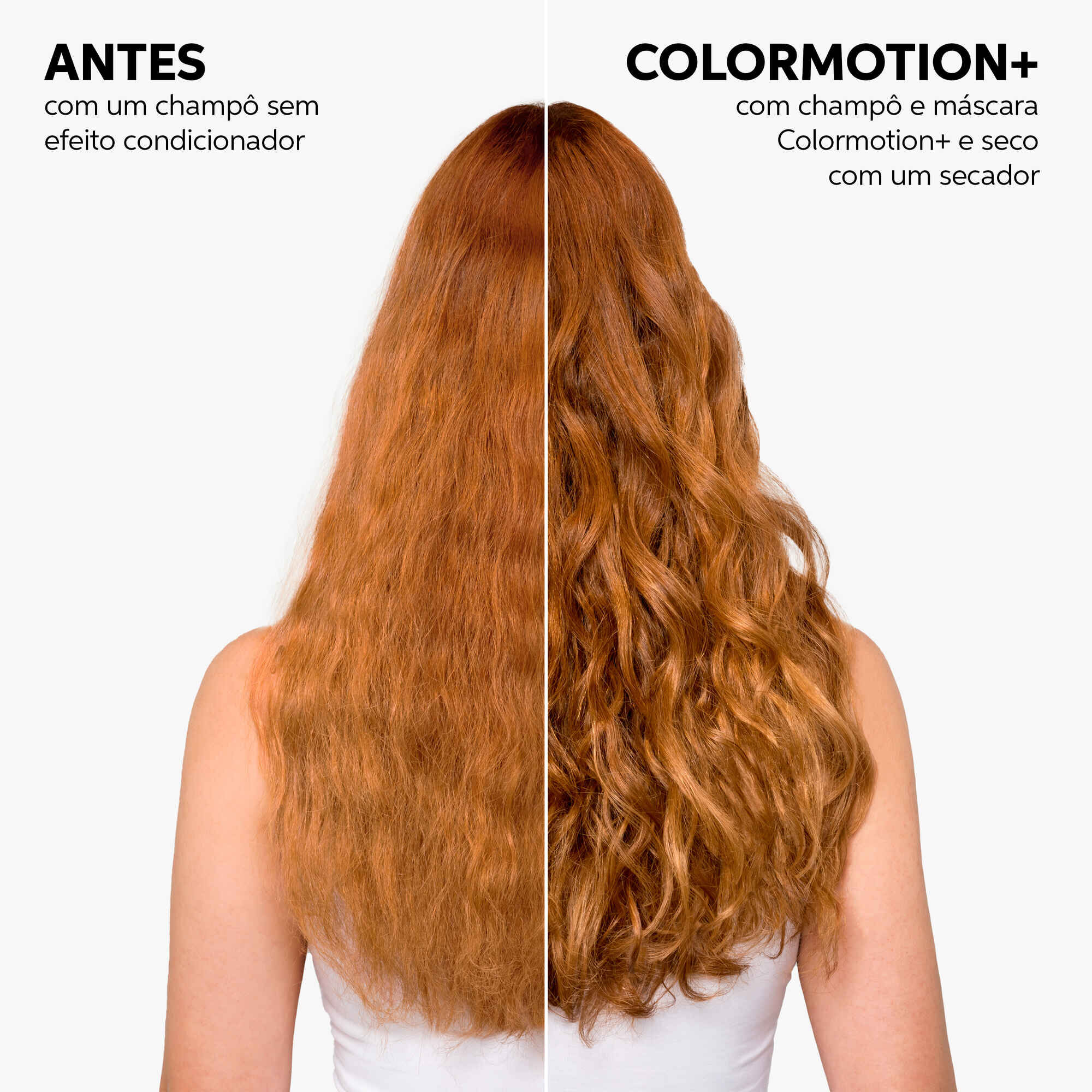 Color Motion Shampoo