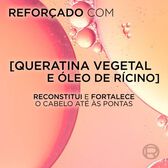 Elvive Dream Long Máscara Reconstructora Wells Image 4