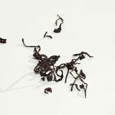 Calvin Klein Everyone EDP Wells Image 7