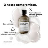 Absolut Repair Molecular Serie Expert Shampoo Wells Image 13