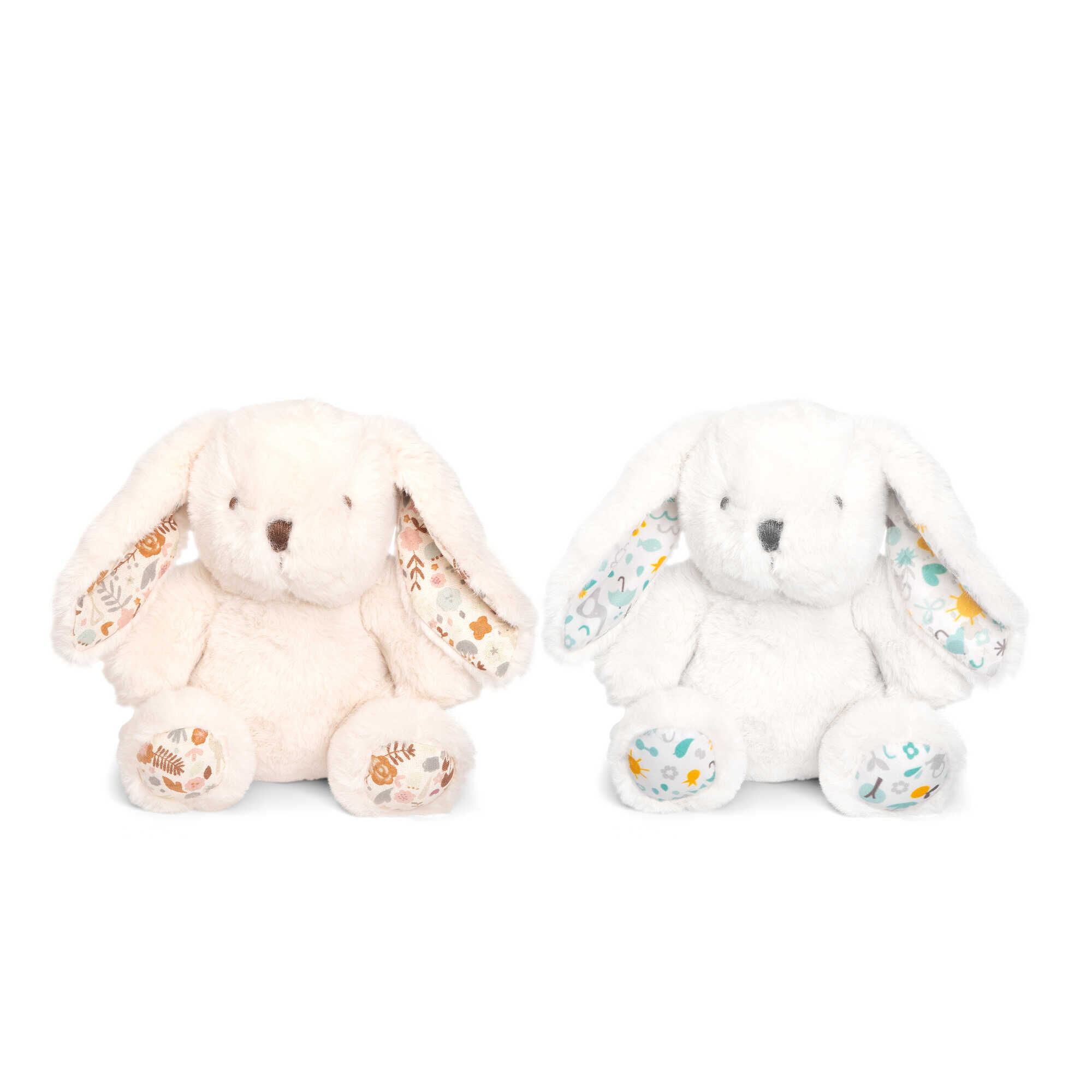 Set Colónias e Urso Peluche