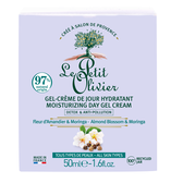 Moisturizing Gel Cream Detox Anti-Pollution Wells