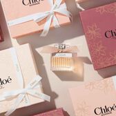 Coffret Signature Eau de Parfum Wells Image 5