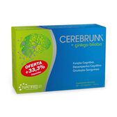 Suplemento Função Cognitiva Ginkgo Biloba Wells Image 1