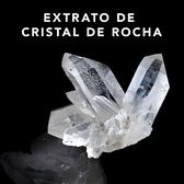 Shine Define Spray Wells Image 4