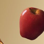 Hugo Boss Bottled EDP Wells Image 15