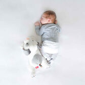Baby Sleep Soother Dex The Dog Wells Image 7