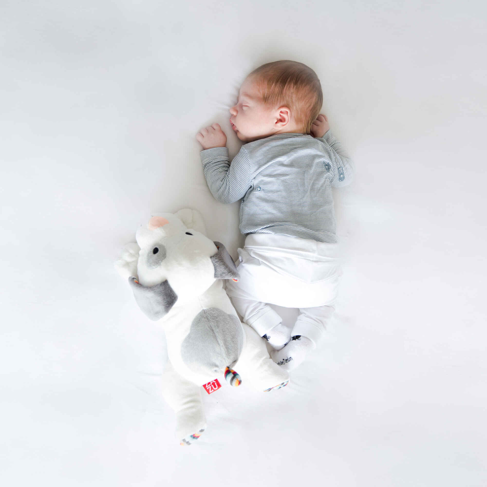 Baby Sleep Soother Dex The Dog