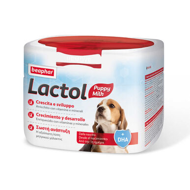 Leite Materno para Cães Recém-Nascidos Lactol 250 gr Wells