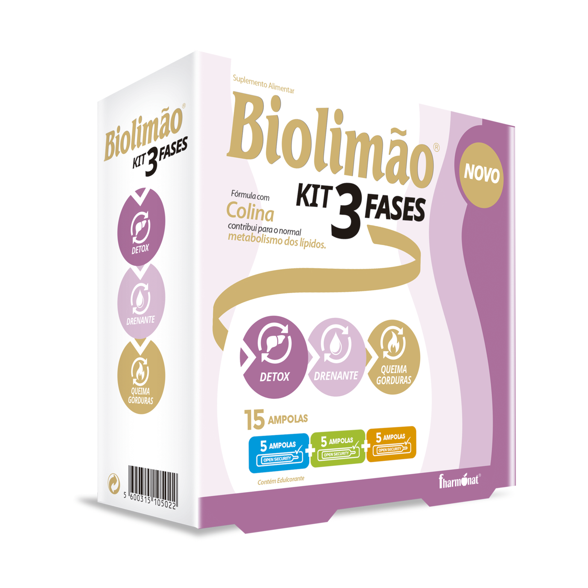 Kit 3 Fases Metabolismo Lípidos