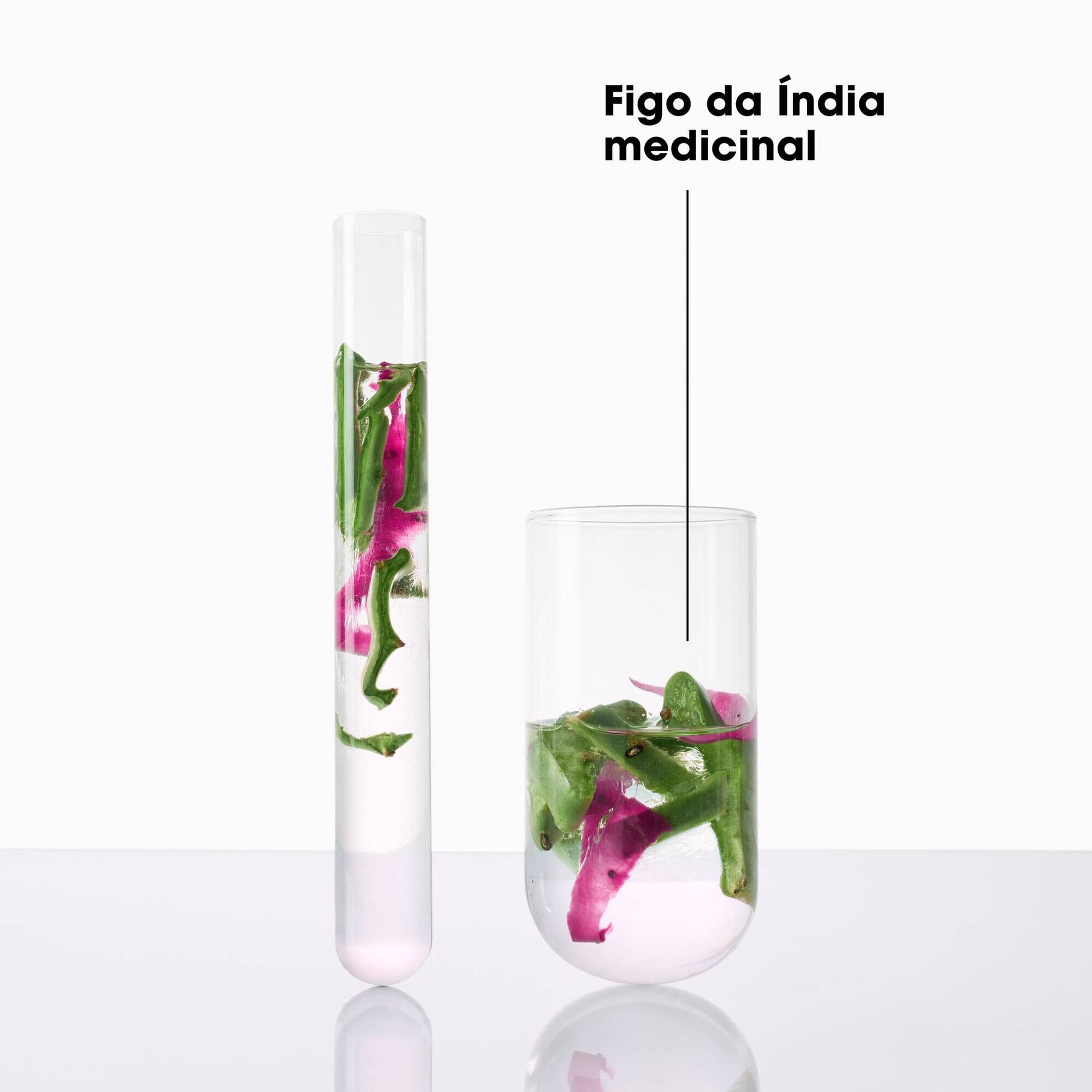 Duo Prickly Pear 72h Hydration & Shine Shampoo