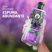 Champô Controla o Frizz Aroma a Lavanda Wells Image 2