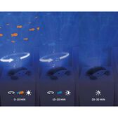 Ocean Projector Cody The Crab Wells Image 2