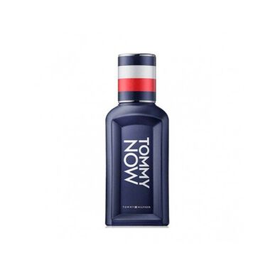 Tommy Hilfiger Now Men EDT Wells