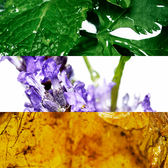 Davidoff Cool Water After Shave Wells Image 3