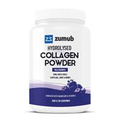 Colagénio Hidrolisado Pó Frutos do Bosque Wells Image 1