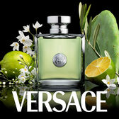 Versace Versense EDT Wells Image 3