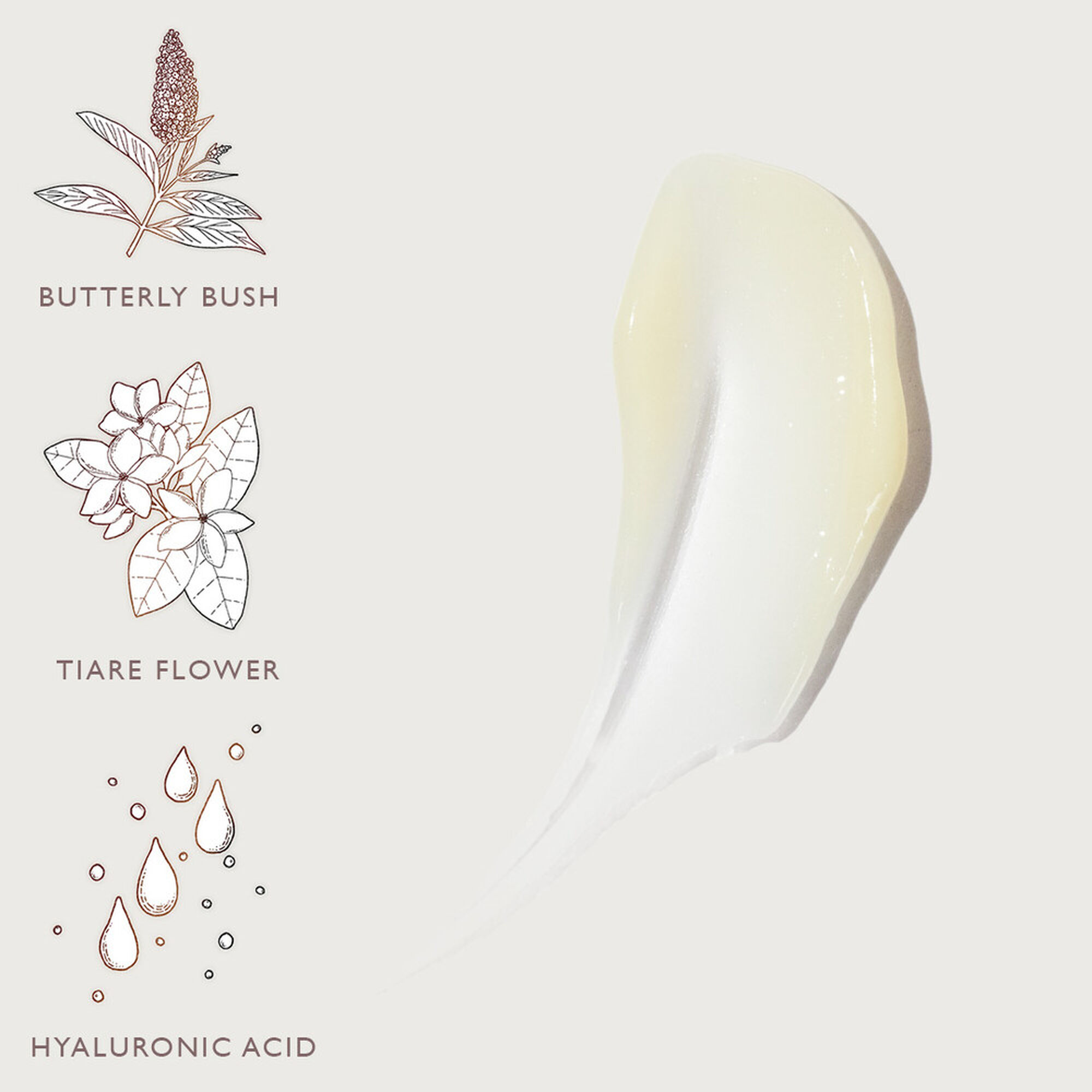 Creme de Rosto Homem Hidratante Moisturizer