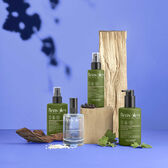 Benvoleo Detangling Leave-In Wells Image 6