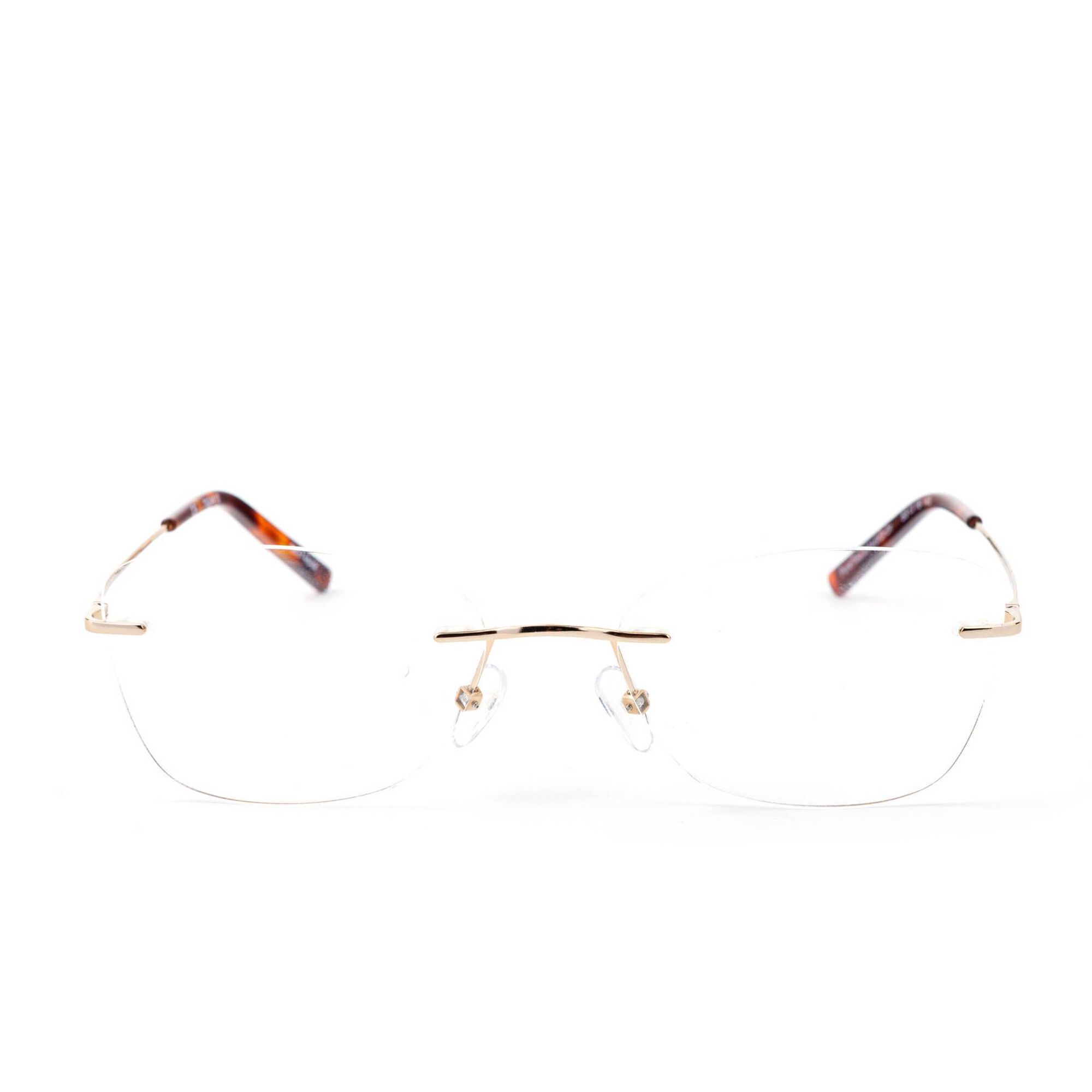 Armação Óculos Pure Titanium Dourado 03