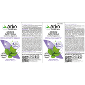 Acidez Gástrica Olmo Vermelho & Zinco Wells Image 2