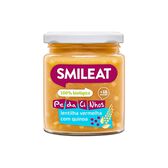 Boião Bio Lentilha Vermelha com Quinoa +10M Wells