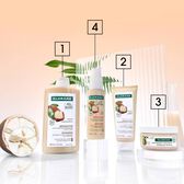 Cupuaçu Repairing CICA-shampoo Wells Image 8