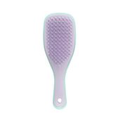 Detangler Mini Mint Lilac Wells Image 1