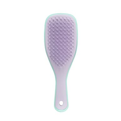 Detangler Mini Mint Lilac Wells Image 1