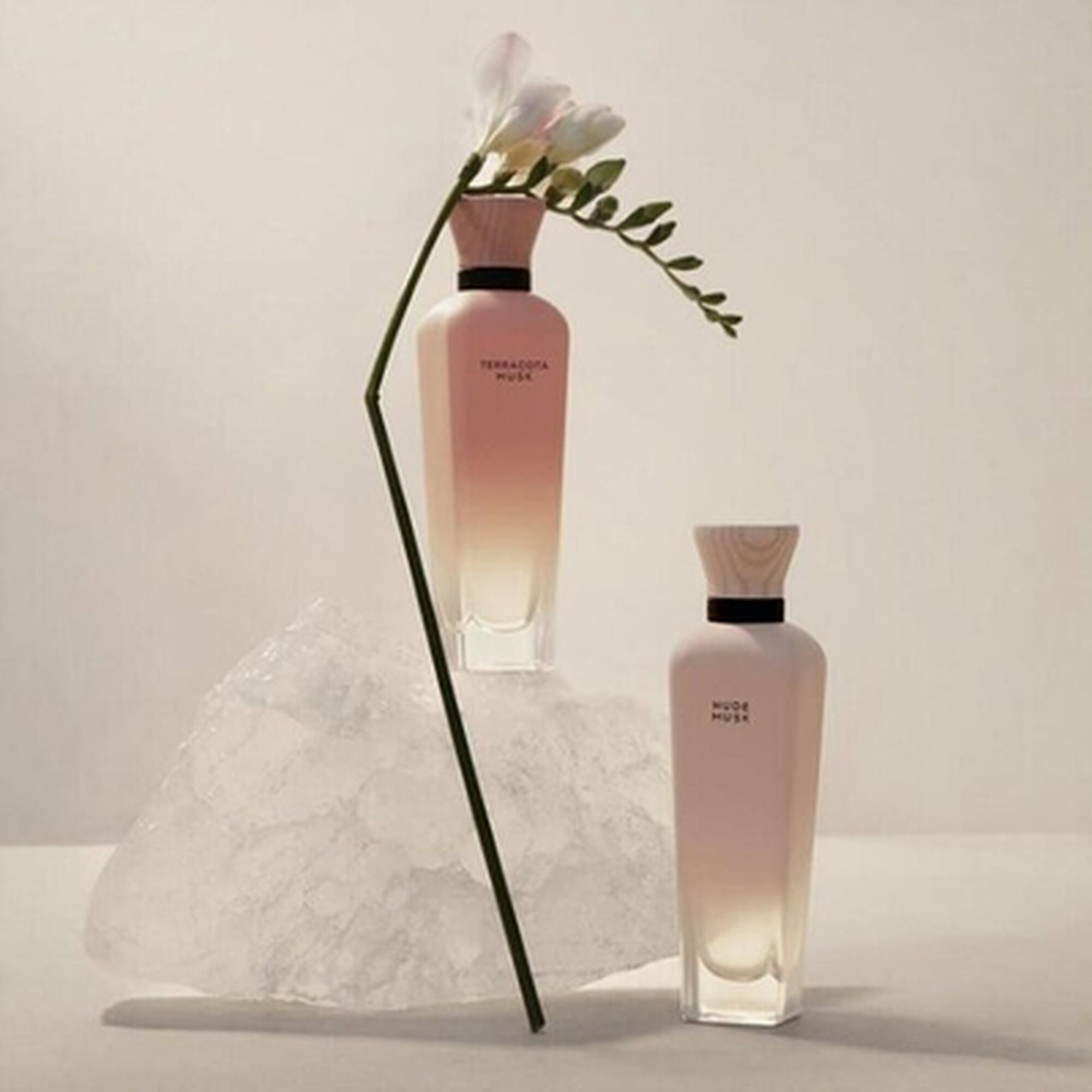 Adolfo Dominguez Nude Musk Eau de Parfum