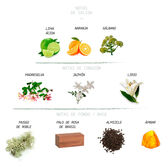 Água de Colónia Kids Eau de Cologne Wells Image 3