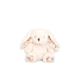 Set Colónias e Urso Peluche Wells Image 3