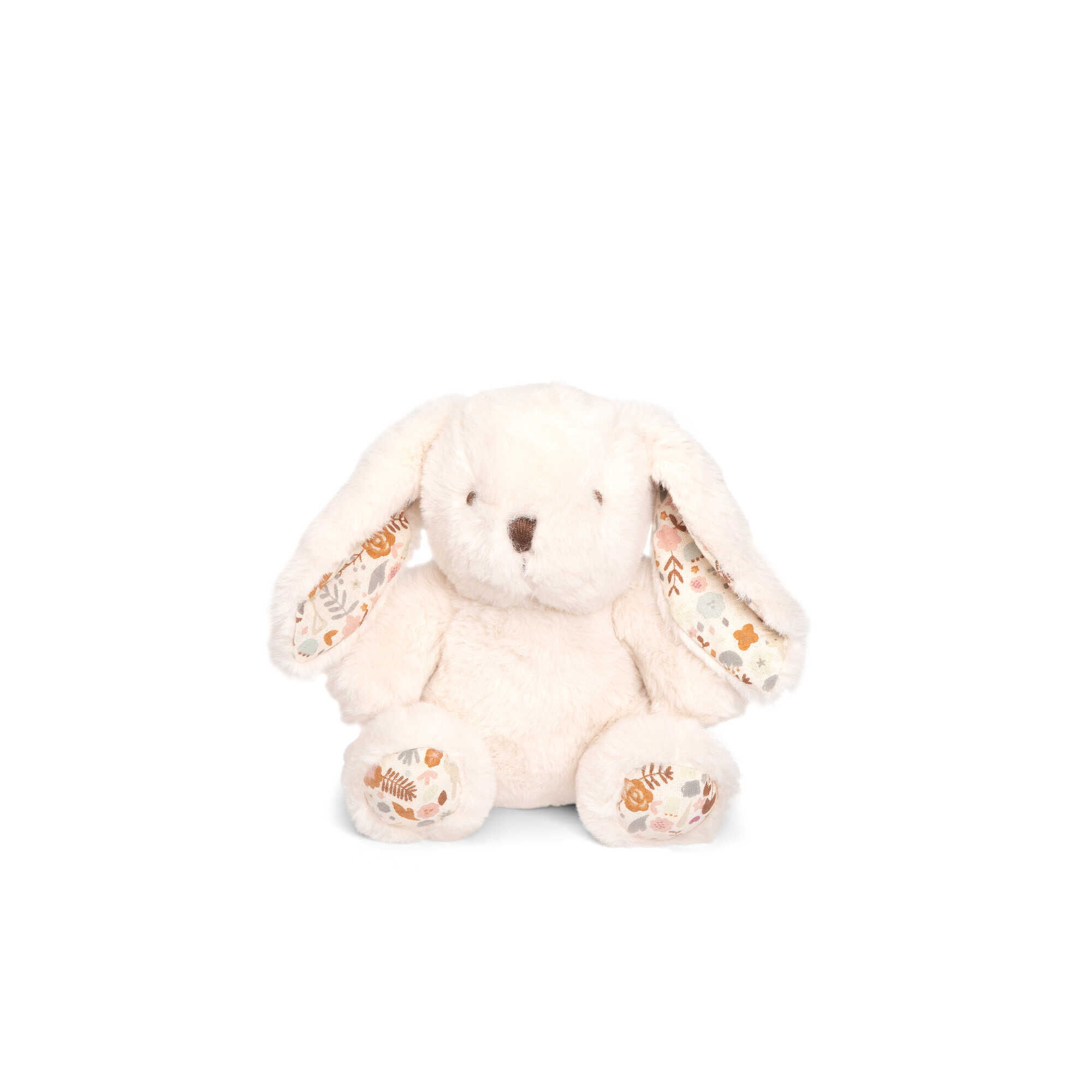 Set Colónias e Urso Peluche