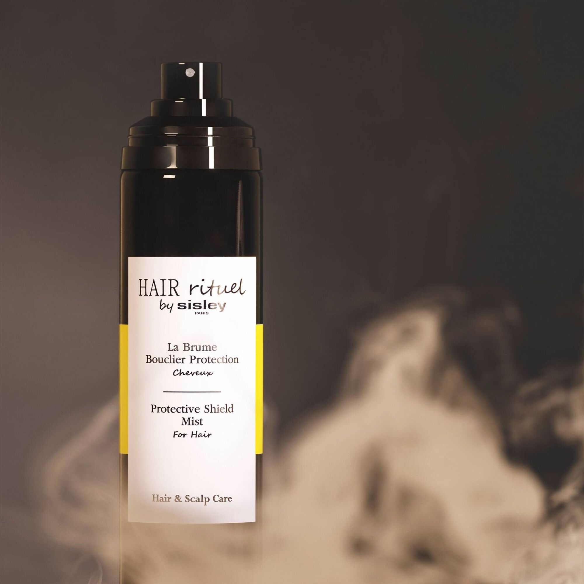 La Brume Bouclier Protection