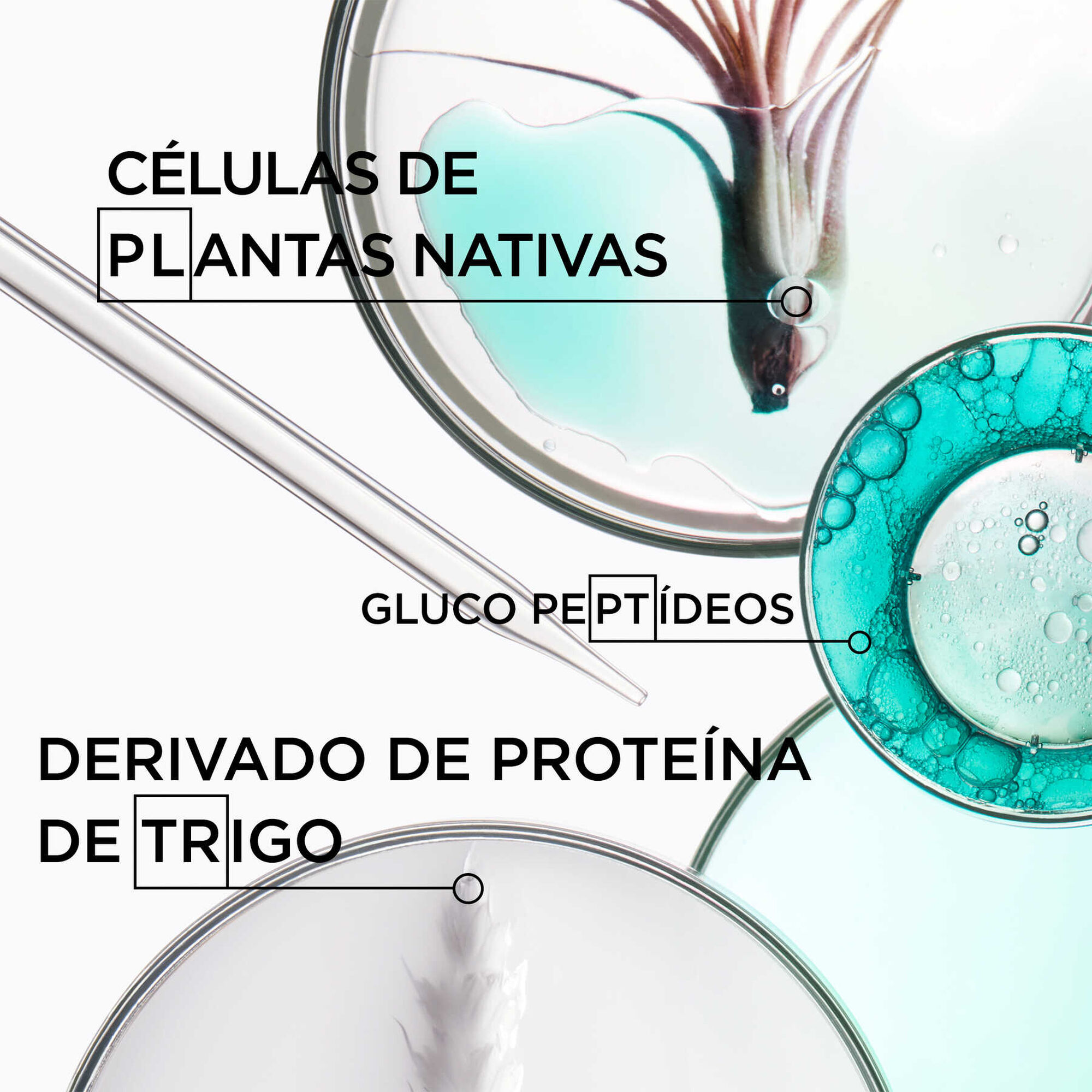 Resistance Bain Extentioniste