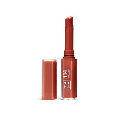 Batom Hidratante The Color Lip Glow 114 1.6 gr Wells Image 1