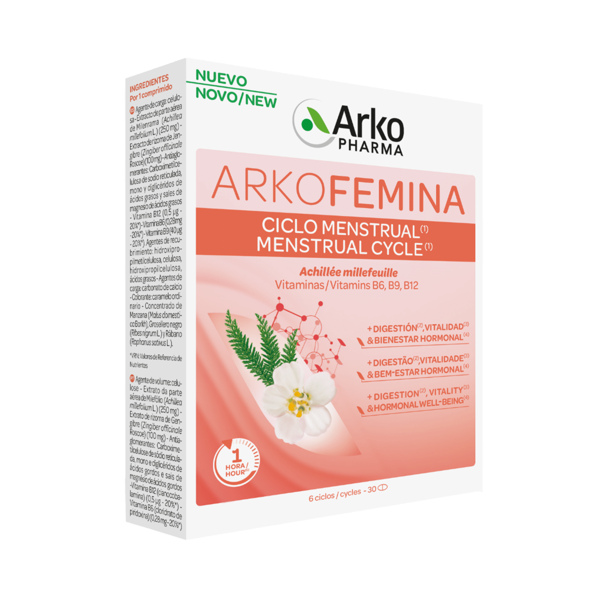 ArkoFemina Ciclo Menstrual