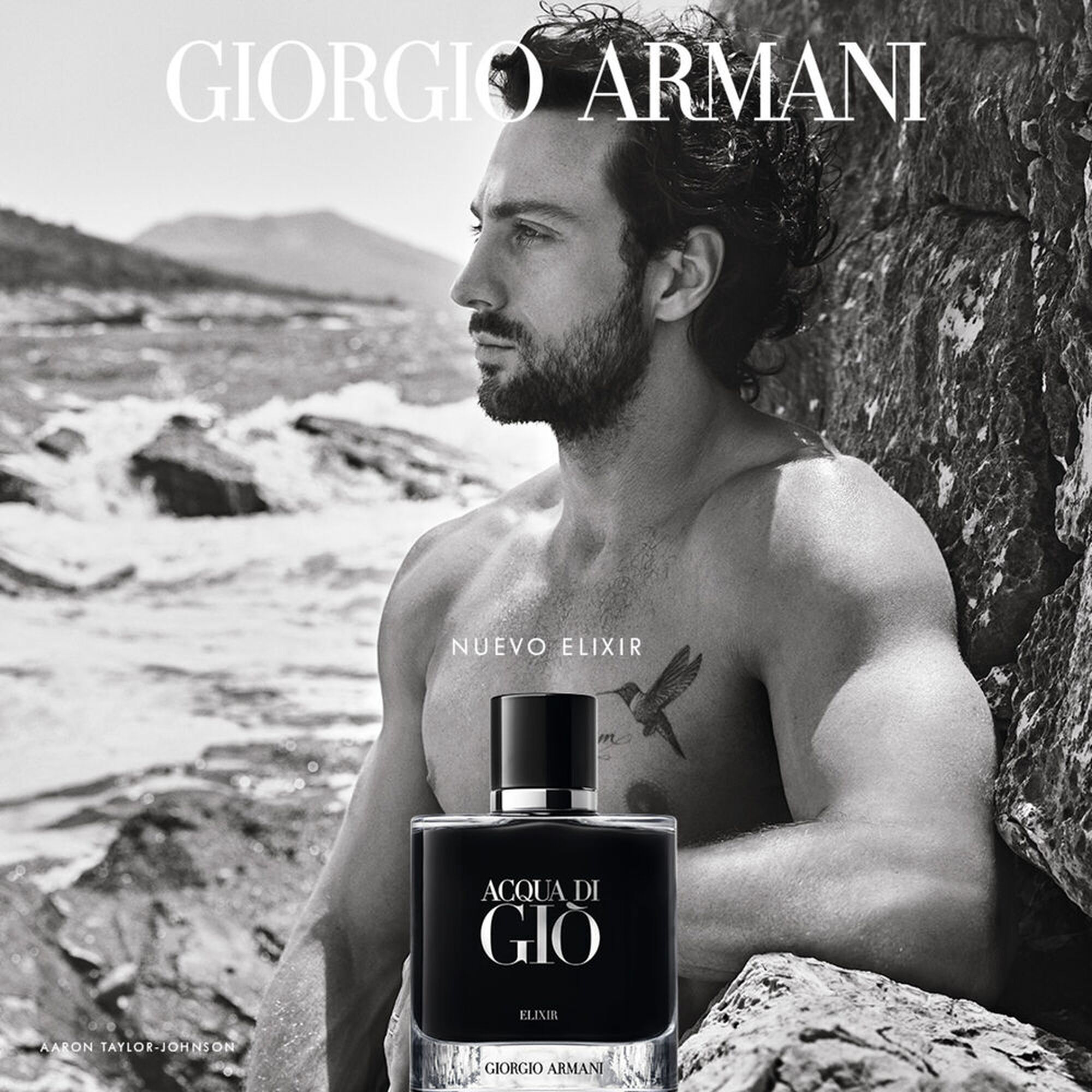 Acqua di Giò Pour Homme Elixir