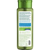 Champô Anticaspa Bio Dandruff Control Wells Image 2