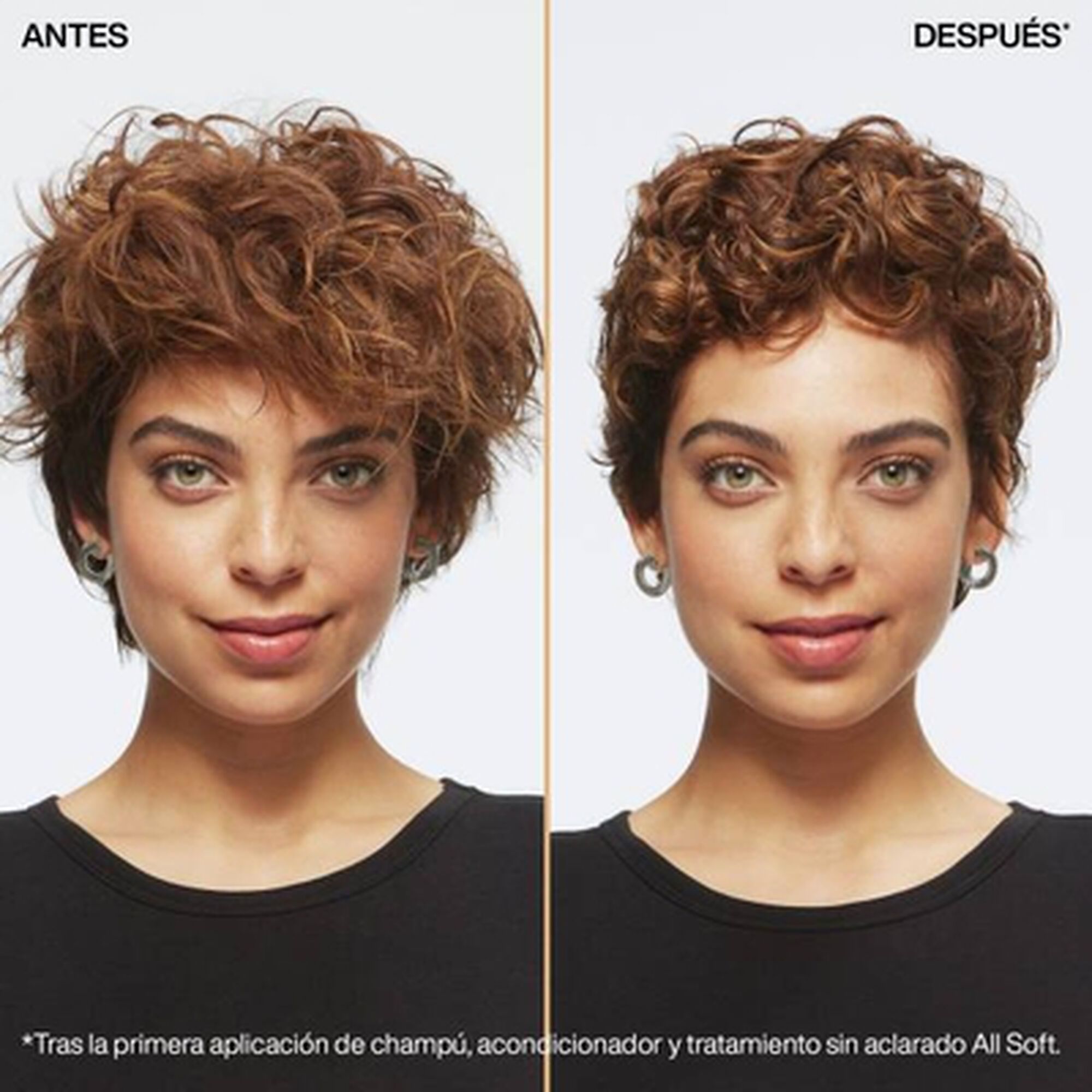 All Soft Moisture Restore Leave-In