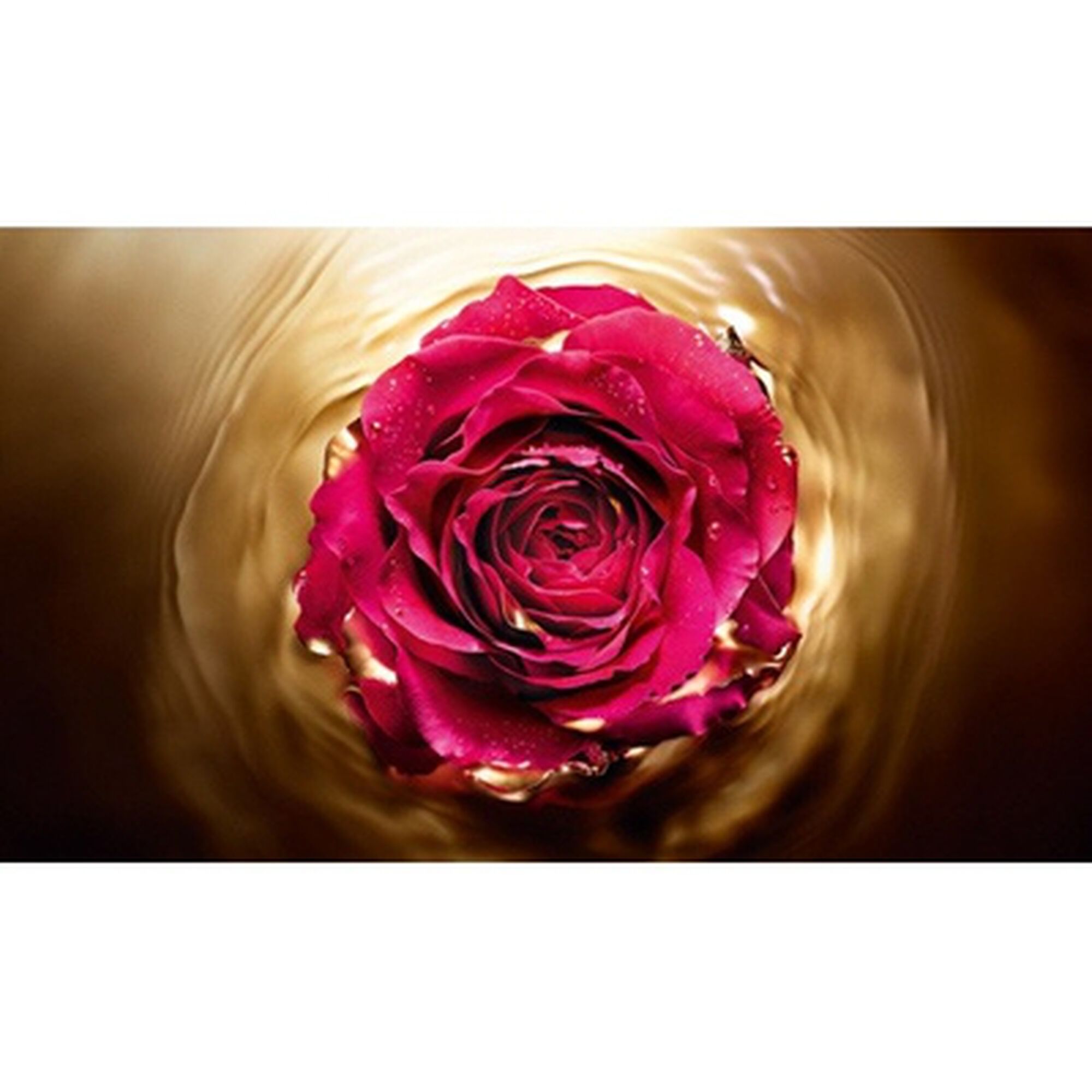 Absolue Bi-Ampoule Réparatrice Ultime