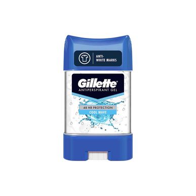Desodorizante Stick Cool Wave Proteção 48h Wells Image 1